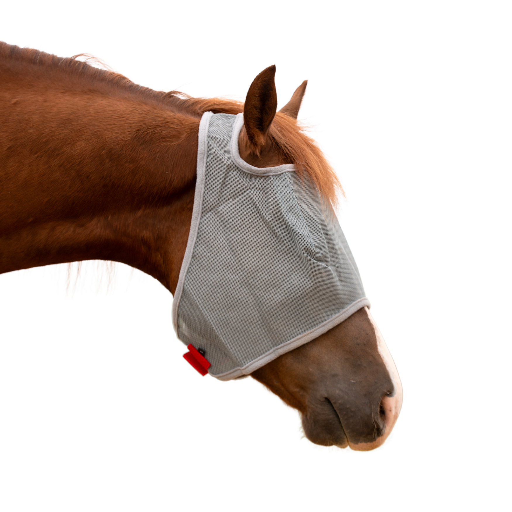 Cactus | Relentless Fly Mask