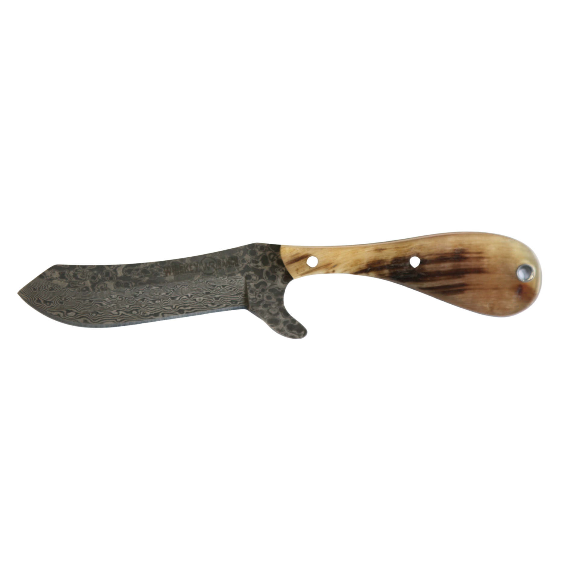 Rusted Nail Knives | Ram Horn | Ram Horn Damascus Bullcutter Knife