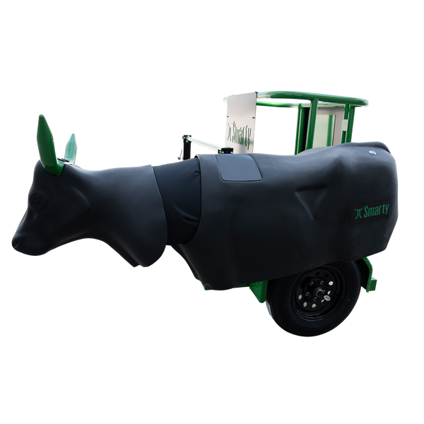 Smarty Rodeo | Bulldogging Steer