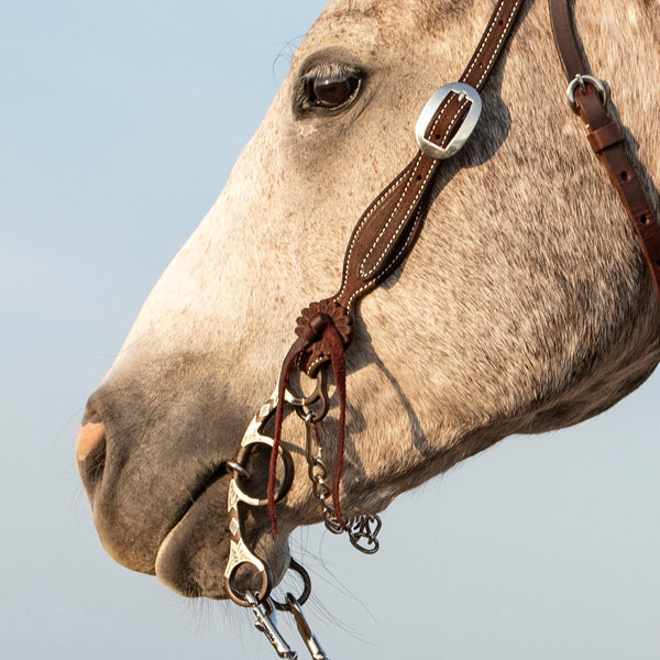 Classic Equine | Sherry Cervi Short Shank Gag Barrel Bit | Twisted Wire Dogbone