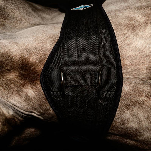 Professional's Choice | 2XCool Cinch