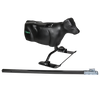 Smarty Rodeo | Calf