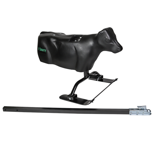 Smarty Rodeo | Calf