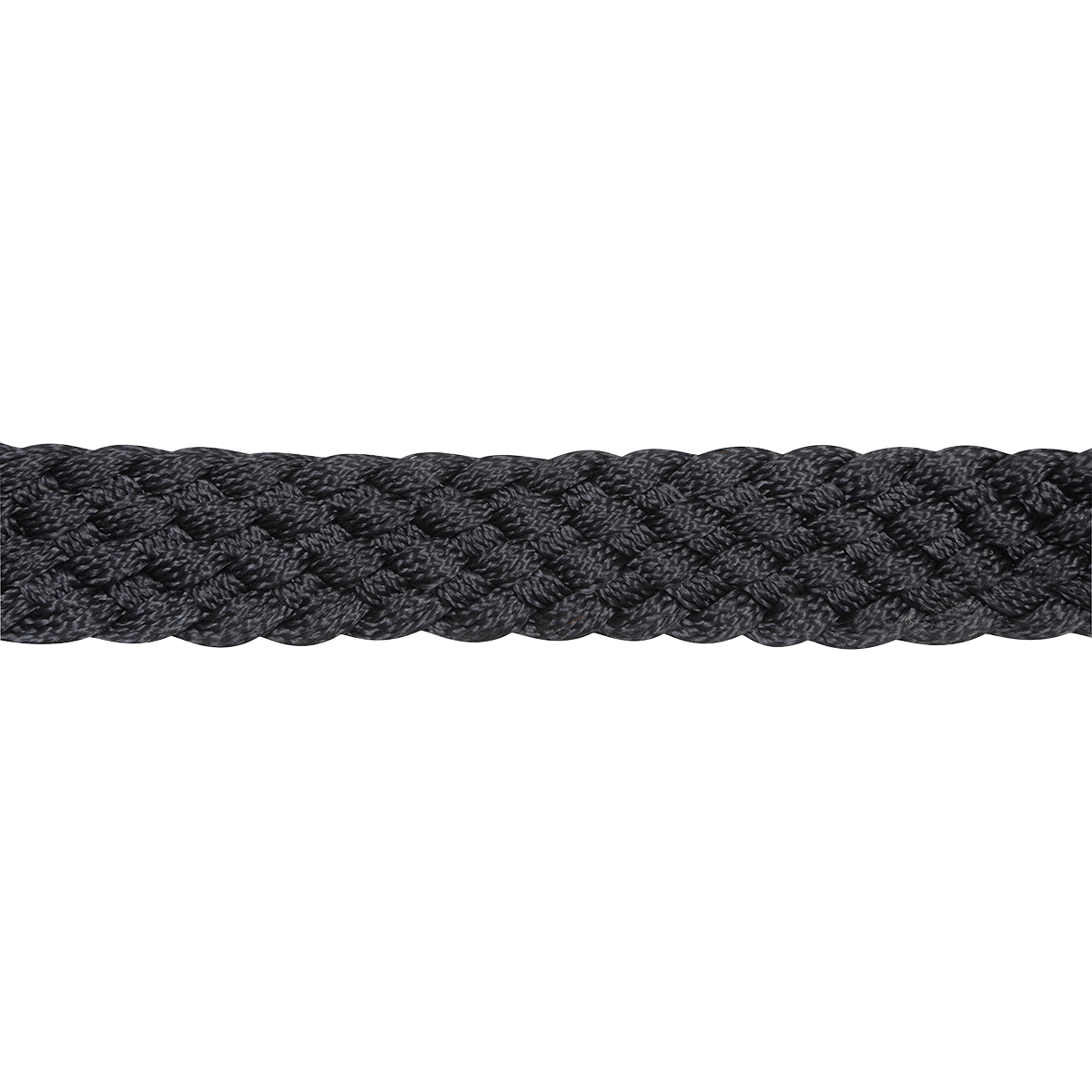 Cashel |  Flat Braid Halter w/ 9' Lead