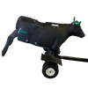 Smarty Rodeo | Xtreme