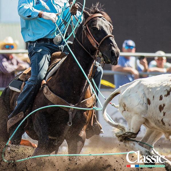 Classic | Powerline Lite | Heel Rope 35'