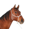 Classic Equine | Halter w/Lead | Rope Nose