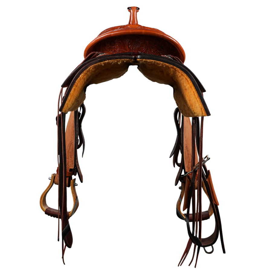 Economy Halter | Yearling