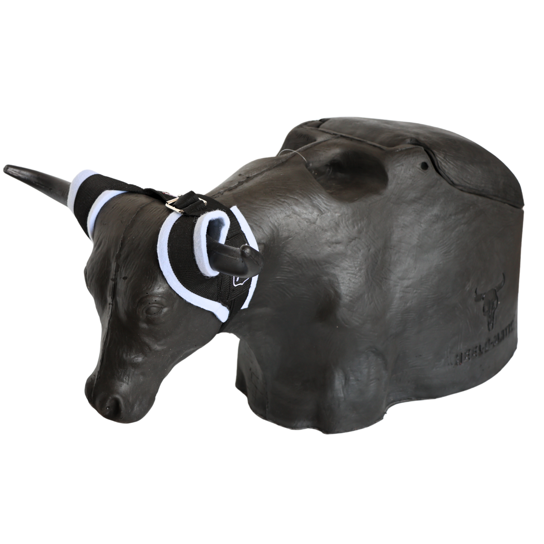 Smarty Rodeo | Bones 2.0