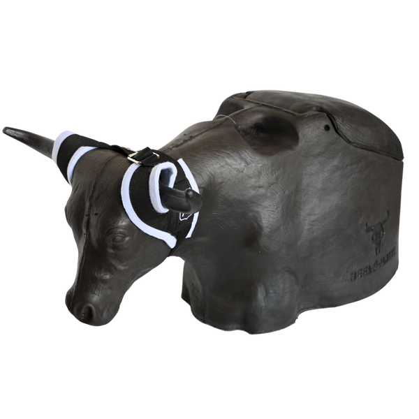 Smarty Rodeo | Bones 2.0