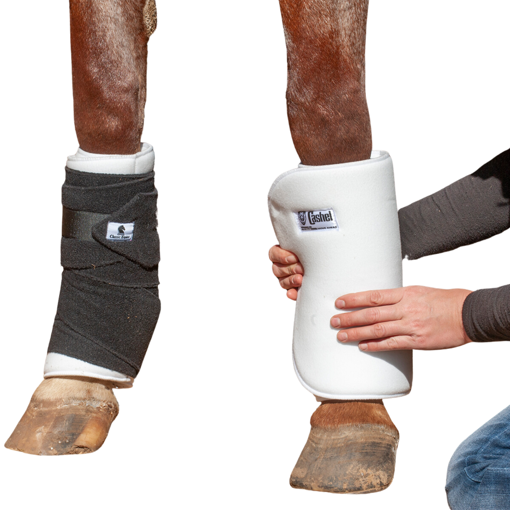 Cashel | No Bow Bandage Wraps