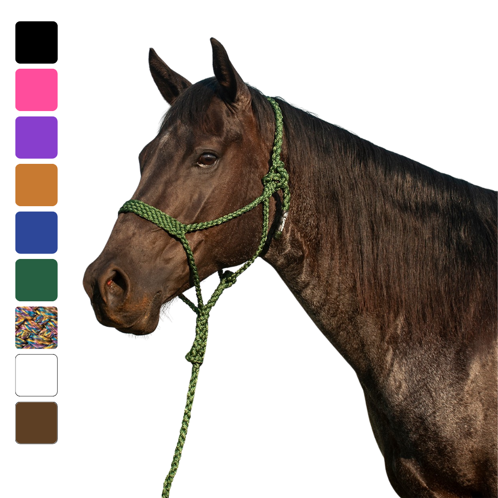 Cashel |  Flat Braid Halter w/ 9' Lead