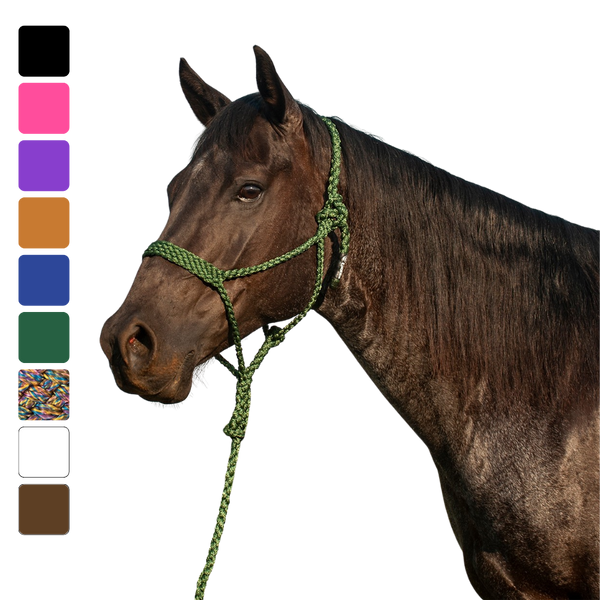 Cashel |  Flat Braid Halter w/ 9' Lead