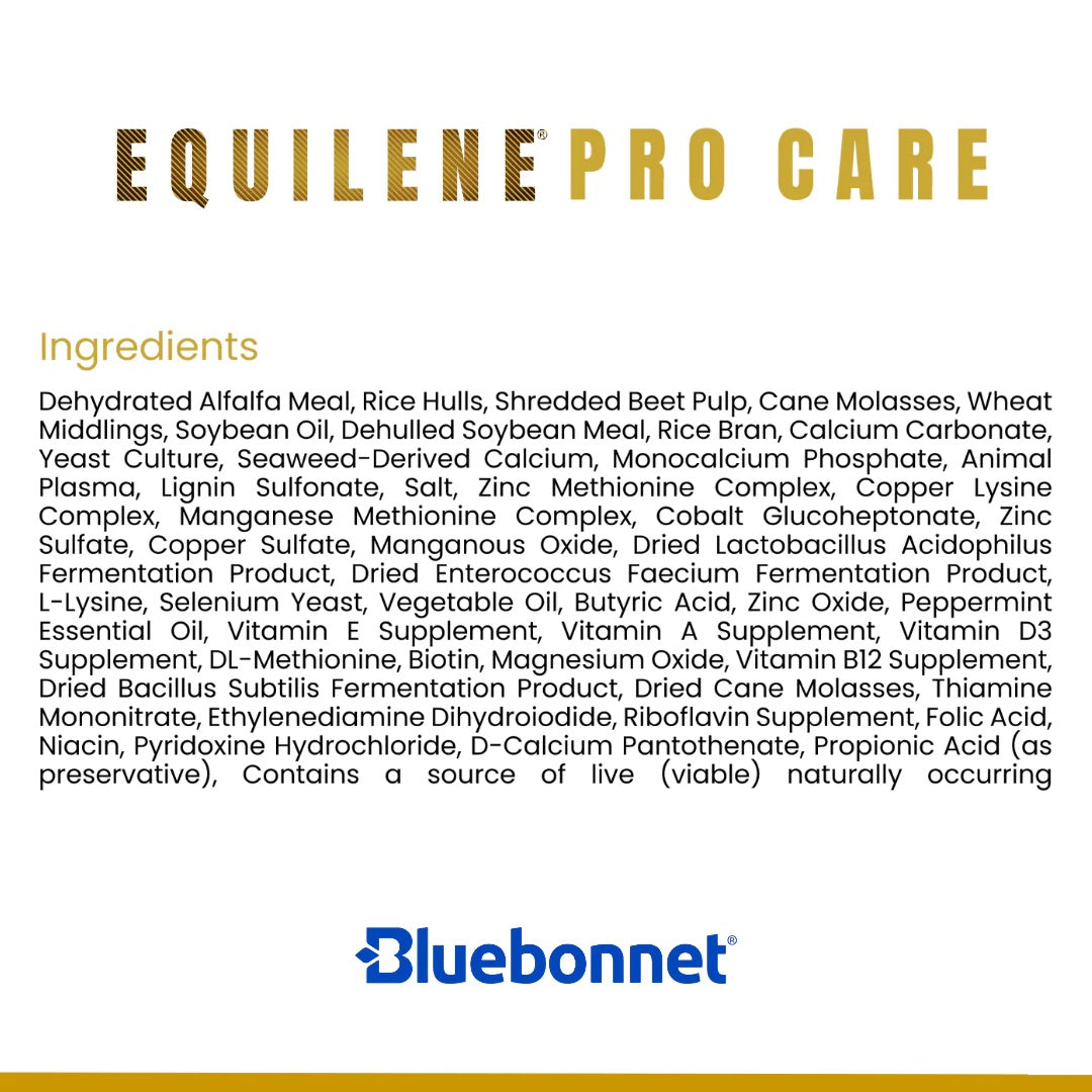 Bluebonnet Feeds | Equilene Pro Care