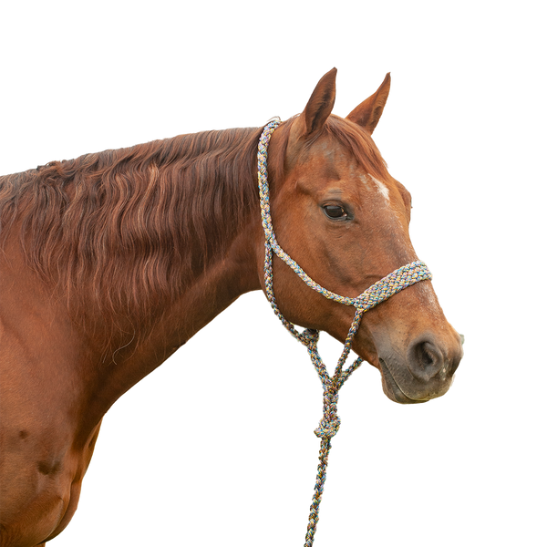 Cashel |  Flat Braid Halter w/ 9' Lead