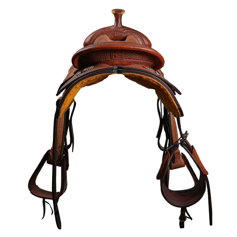 Economy Halter | Yearling