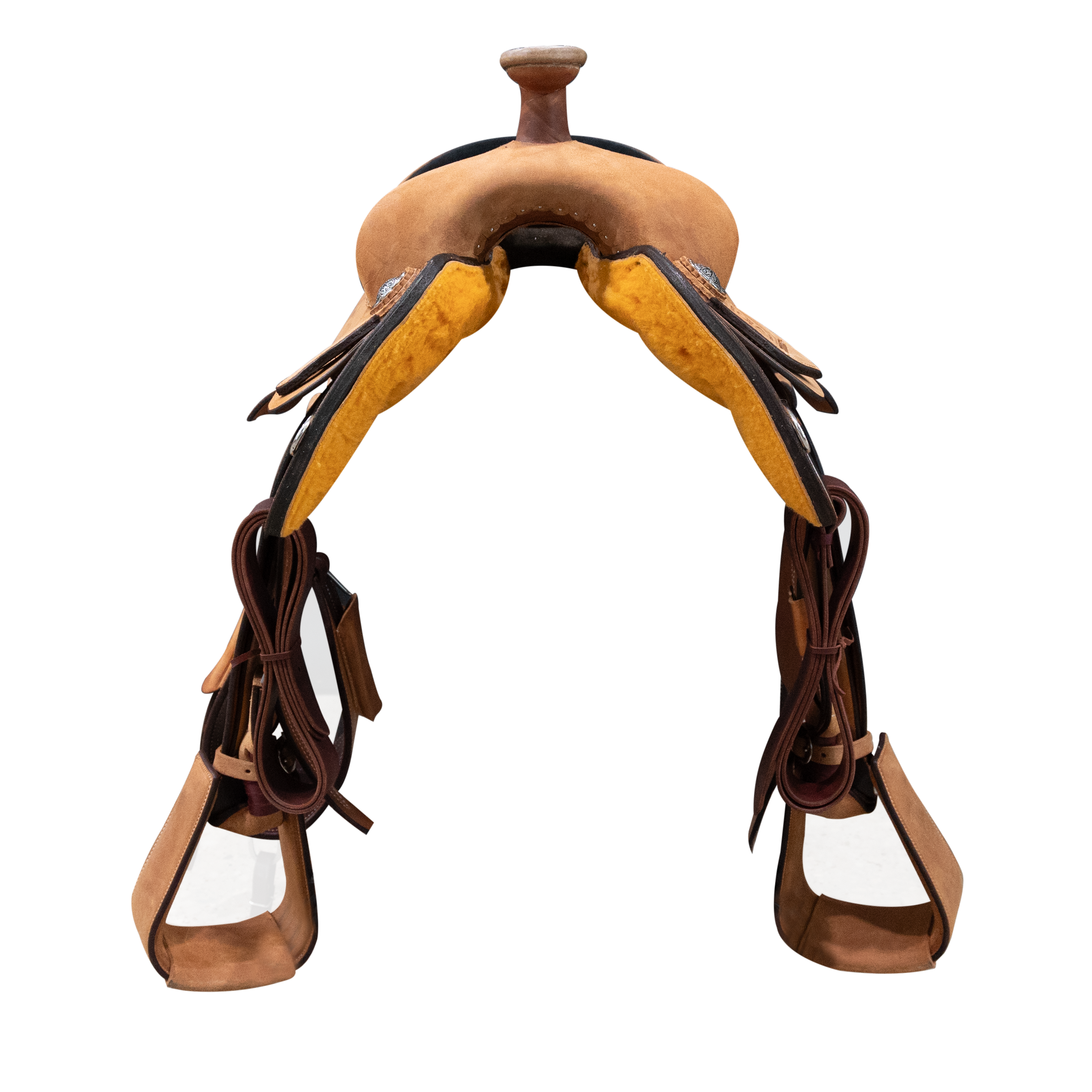 Economy Halter | Yearling