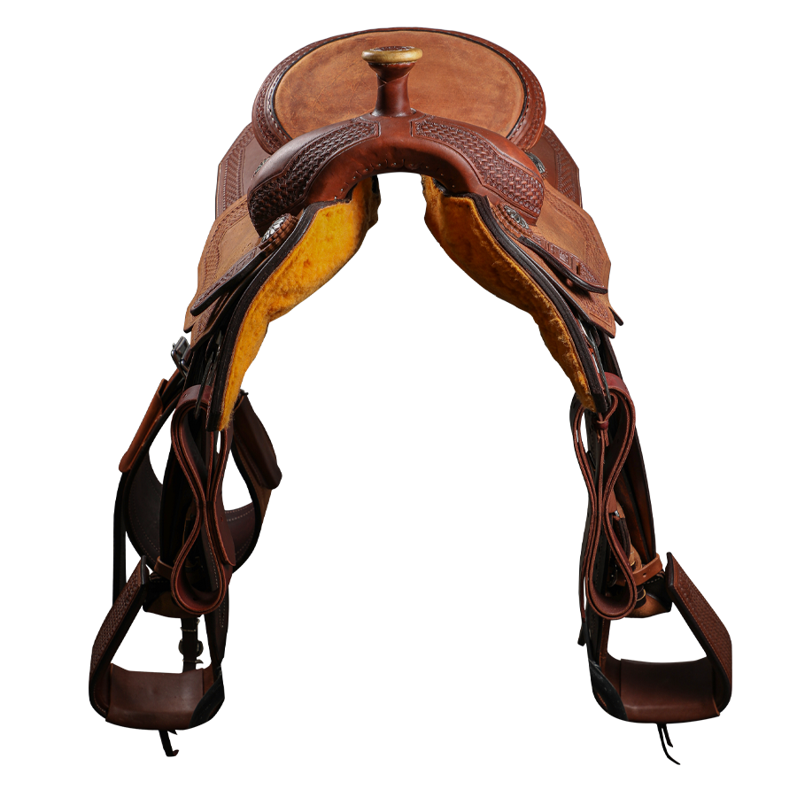 Economy Halter | Yearling