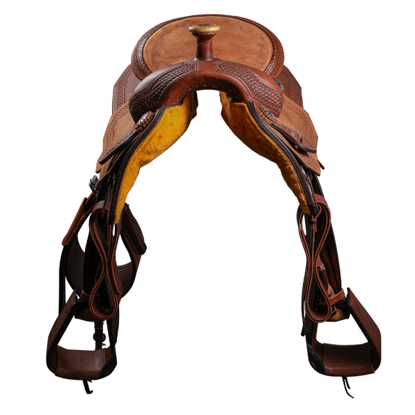 Economy Halter | Yearling