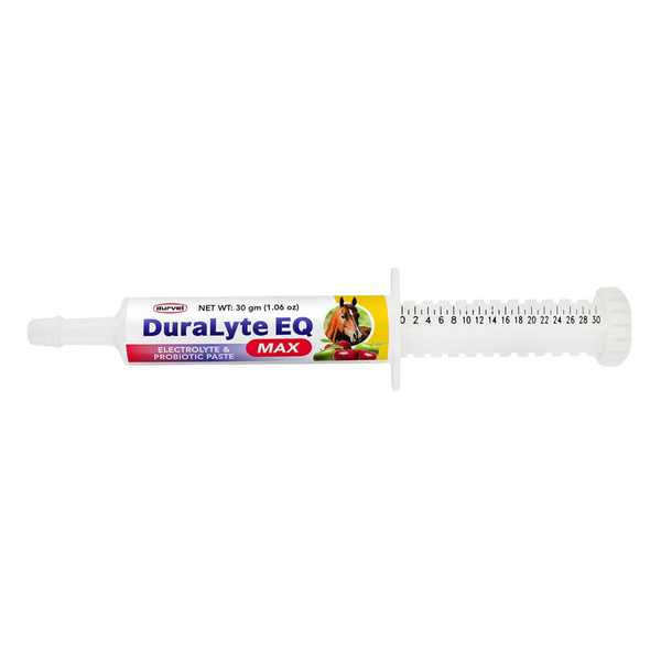 Durvet | DuraLyte EQ Max Electrolyte & Probiotic Paste