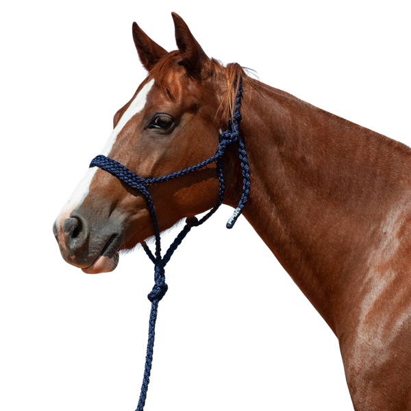 Cashel |  Flat Braid Halter w/ 9' Lead