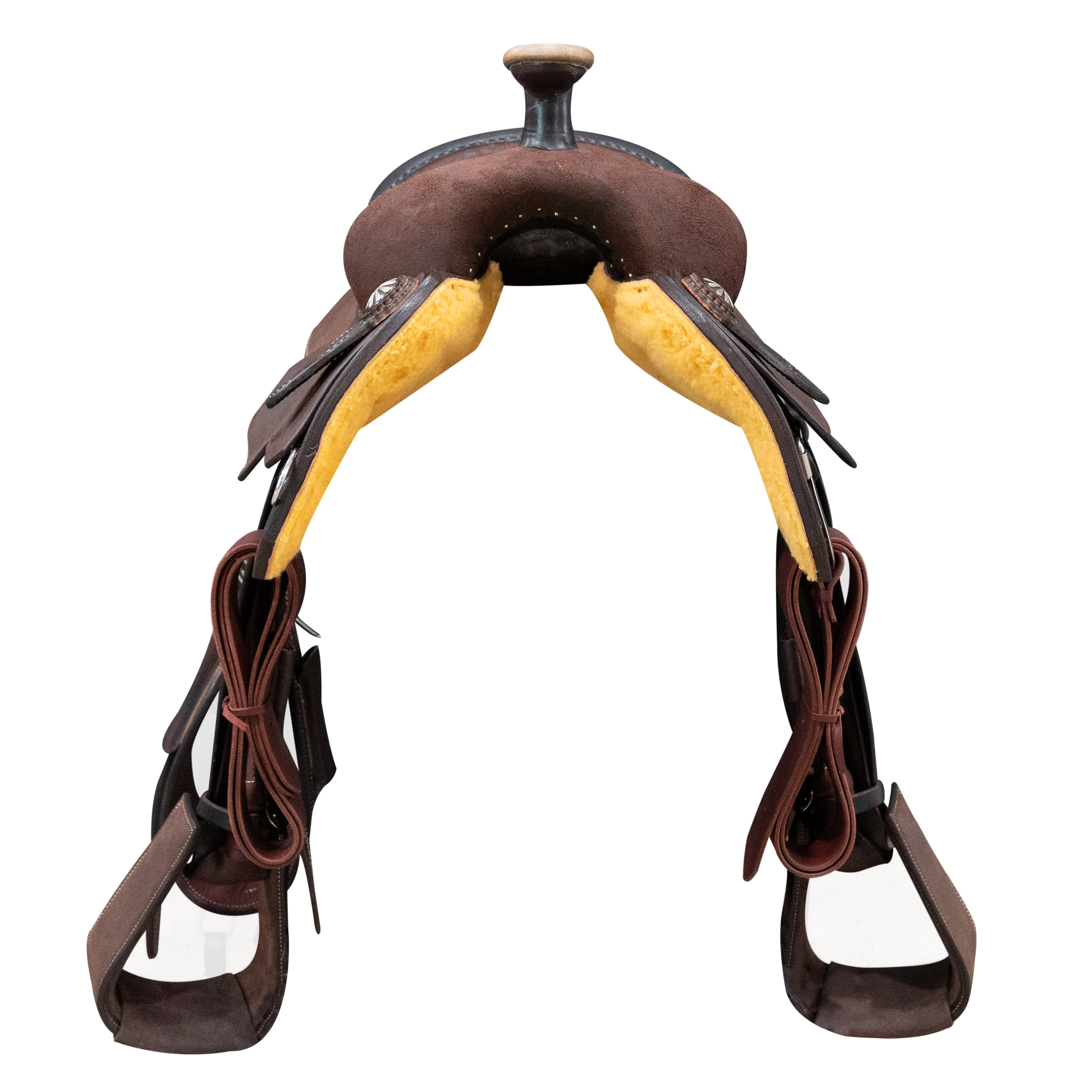 Economy Halter | Yearling
