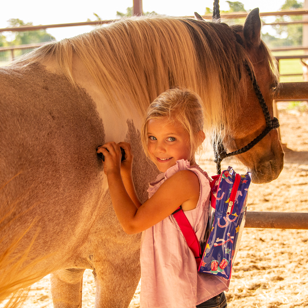 Classic Equine | My First Groom Kit