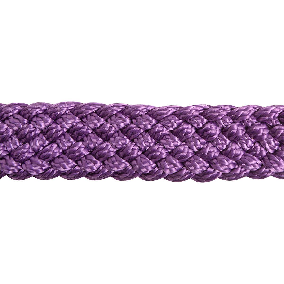 Cashel |  Flat Braid Halter w/ 9' Lead