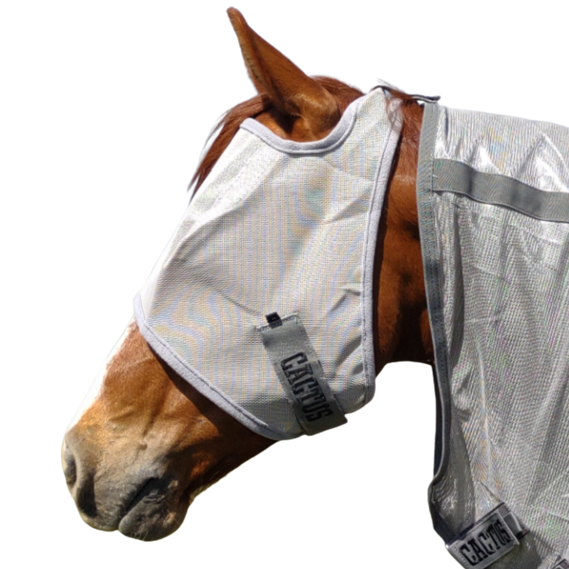 Cactus | Mesh Fly Mask