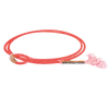 Rattler | Boys Goat String