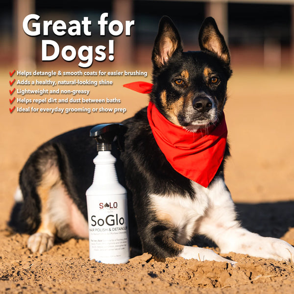 SoGlo | Hair Polish & Detangler
